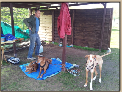 Lutz und die Podencobande