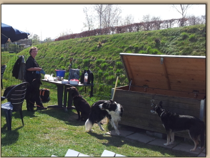 Djego, Ronny, Connie