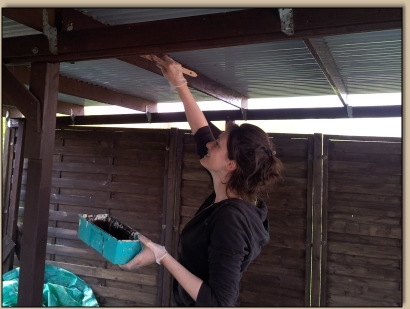 Johanna beim Streichen