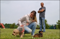 Knuddeln mit den lieben Vierbeinern