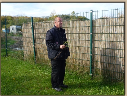 Andi als Pflanzenhalter