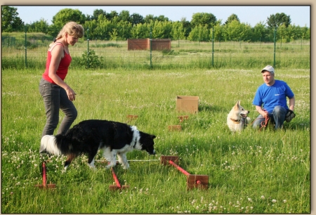 Rica mit Ronny an den Cavalettis