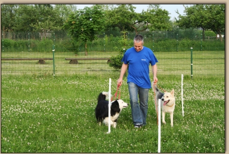Lutz mit Sky und Ronja - Leinenführigkeit