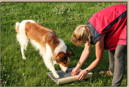Arno bei der Nasenarbeit