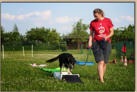 Kerstin mit Connie auf dem Untergründe- Parcours