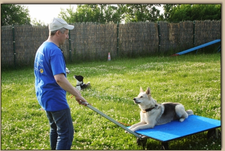 Lutz mit Sky auf dem Wagen