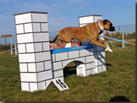 das Viadukt/ die Mauer