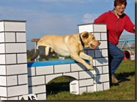 das Viadukt/ die Mauer