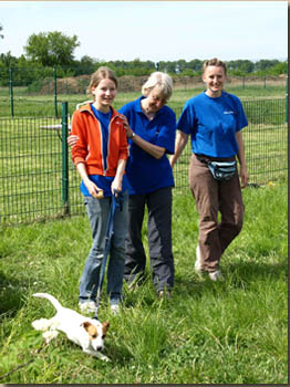 Bronze für Isa mit Cosmo in der Klasse Midi - Fortgeschritten