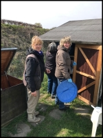 Reinigung des Anbaus 