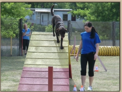 Djego auf der A-Wand