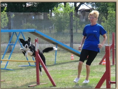 Kira über dem Sprung