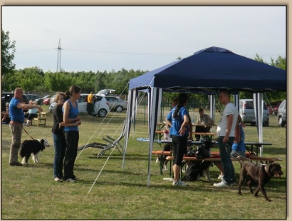 Das Camp der Flinken Pfoten