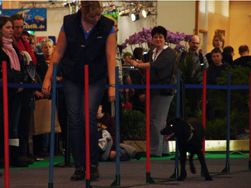 Lisa und Bonny im Slalom