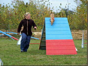 Trixi und Lilly zeigten eine solide Leistung