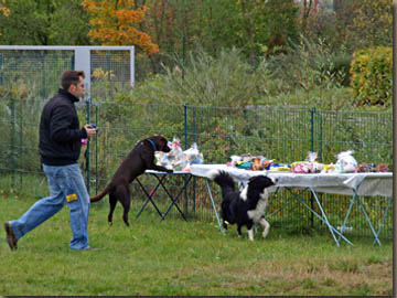 Sturm auf die Preise