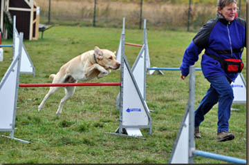 Waltraut und Ricky sahen gut aus im Parcours