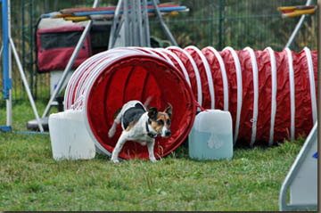 Toby, schnell wie immer