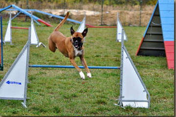 Mary überraschte mit Klasseläufen