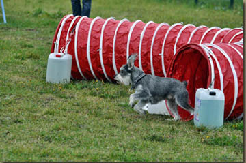 Pepper wie immer sicher und souverän