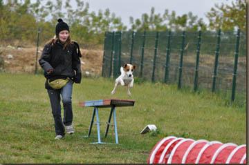 Isa und Cosmo zeigten einen ganz hervorragenden A-Lauf mit der schnellsten Zeit