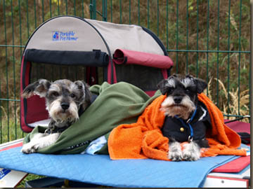 Interessierte Zuschauer