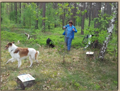 Silke wartet auf die Teams