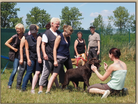 Djego luft durch den 