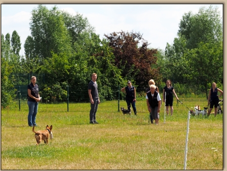 Rusty bringt den Dummy