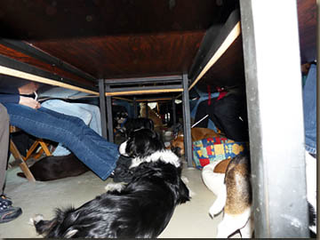 Und so sah es unter dem Schlemmerbüffets aus