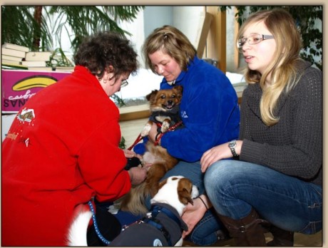 Steffi, Tina, Jessie