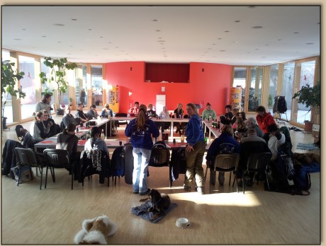 Treffpunkt im Saal des Tierheims