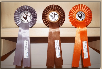 Steffi informiert über die Mitglieder