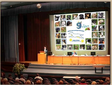 Film ab - die Flinken Pfoten 2015