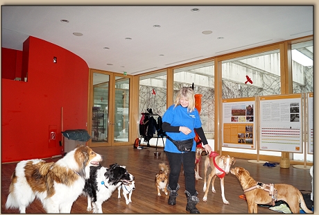 Im Saal des Tierheims Berlin