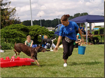 Mit Wasser wurde nicht gespart, eine ganz neue Erfahrung für Luna: Frauchen trägt einen Wassereimer im Parcours mit!