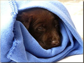 Djego kurz vor dem Einschlafen