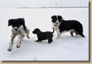 Tessa, Djego und RonnY
