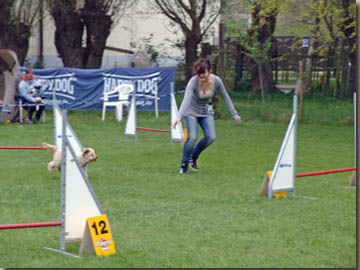 Ulrike mit Oskar im Parcours