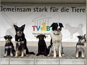 Unsere vierbeinigen Freunde
