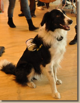 RonnY sammelt für die Tiere 