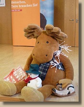 Weihnachten im Tierheim