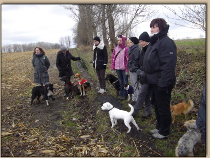 Die Teilnehmer- fleiig beim Raten