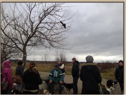 Roger -blindes Ertasten der Hunde