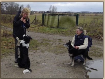 Ronny bei seiner knstlerischen Vorfhrung