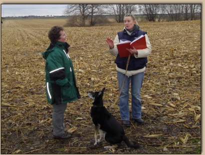 TABU - Steffi erklrt  Begriffe