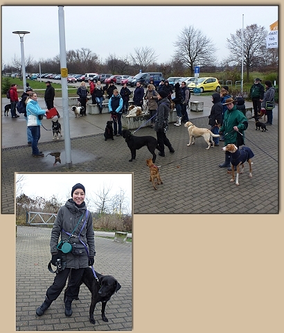 Die Snger vom Tierheim