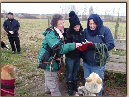 Steffi, Claudi und Bettina