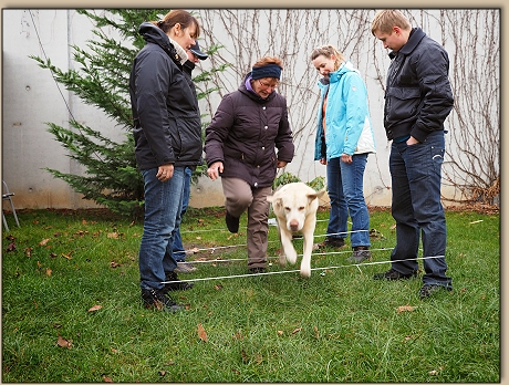 Geschicklichkeitstest