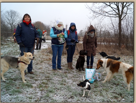 Zeugen erraten den 2. Hinweis